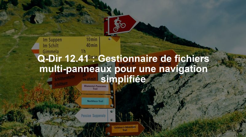 Q-Dir 12.41 : Gestionnaire de fichiers multi-panneaux pour une navigation simplifiée