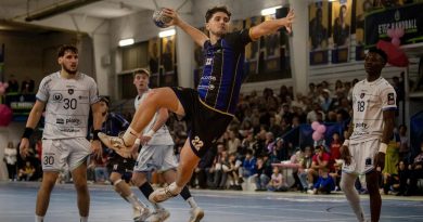Handball (N2M) : L'ETEC redresse la barre à Tardets