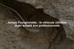 Jumpy Fourgonnette : le véhicule utilitaire léger adapté aux professionnels