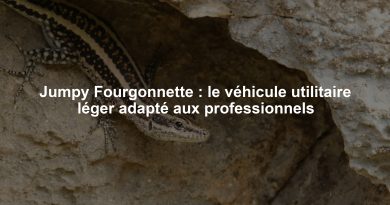 Jumpy Fourgonnette : le véhicule utilitaire léger adapté aux professionnels