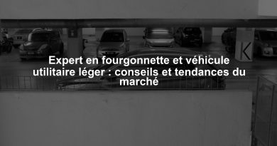 Expert en fourgonnette et véhicule utilitaire léger : conseils et tendances du marché