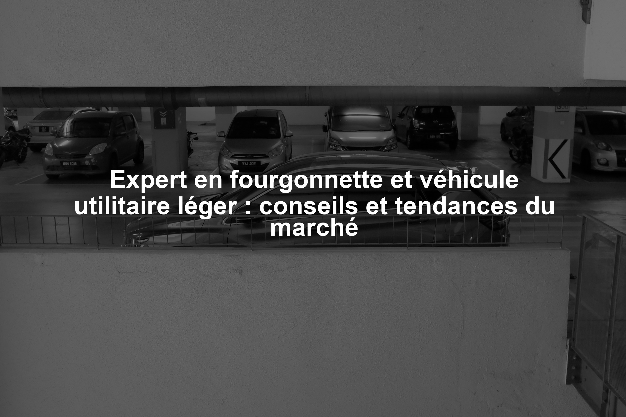 Expert en fourgonnette et véhicule utilitaire léger : conseils et tendances du marché