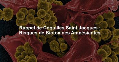Rappel de Coquilles Saint Jacques : Risques de Biotoxines Amnésiantes