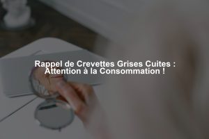 Rappel de Crevettes Grises Cuites : Attention à la Consommation !