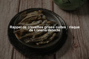 Rappel de crevettes grises cuites : risque de Listeria détecté