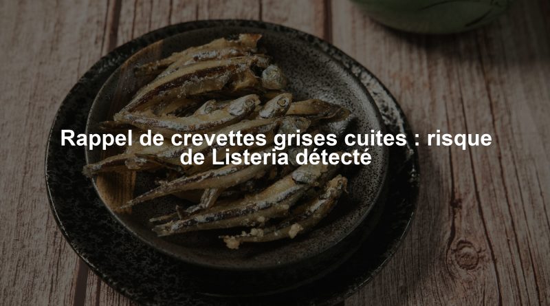 Rappel de crevettes grises cuites : risque de Listeria détecté