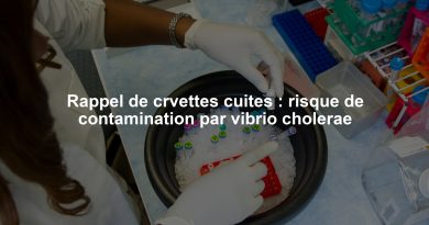 Rappel de crvettes cuites : risque de contamination par vibrio cholerae