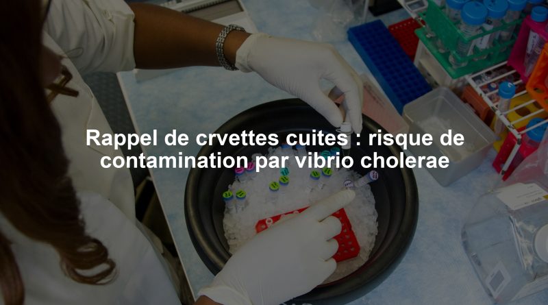 Rappel de crvettes cuites : risque de contamination par vibrio cholerae