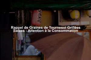 Rappel de Graines de Tournesol Grillées Salées : Attention à la Consommation