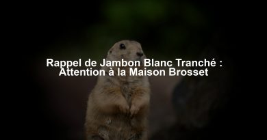 Rappel de Jambon Blanc Tranché : Attention à la Maison Brosset