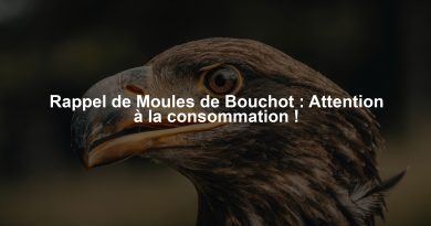 Rappel de Moules de Bouchot : Attention à la consommation !