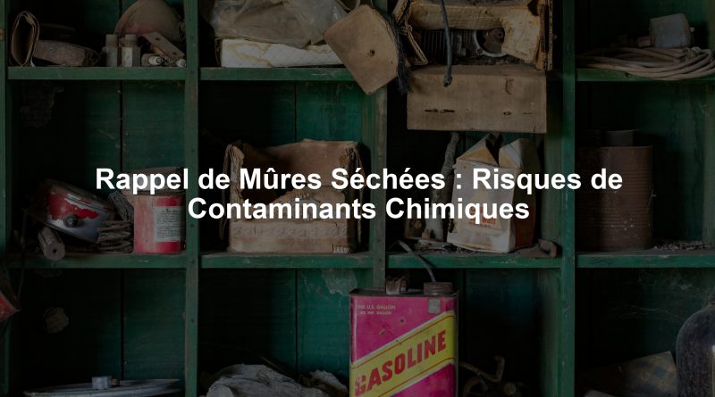 Rappel de Mûres Séchées : Risques de Contaminants Chimiques