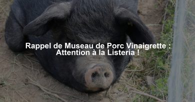 Rappel de Museau de Porc Vinaigrette : Attention à la Listeria !