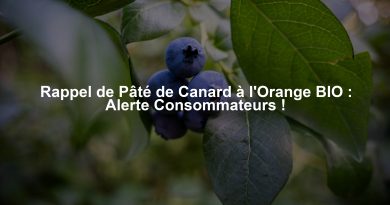 Rappel de Pâté de Canard à l'Orange BIO : Alerte Consommateurs !