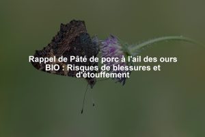 Rappel de Pâté de porc à l'ail des ours BIO : Risques de blessures et d'étouffement