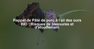 Rappel de Pâté de porc à l'ail des ours BIO : Risques de blessures et d'étouffement