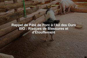 Rappel de Pâté de Porc à l'Ail des Ours BIO : Risques de Blessures et d'Étouffement