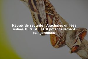 Rappel de sécurité : Arachides grillées salées BEST AFRICA potentiellement dangereuses
