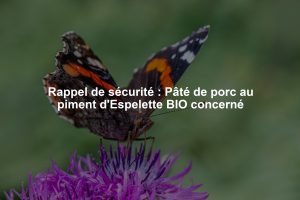 Rappel de sécurité : Pâté de porc au piment d'Espelette BIO concerné