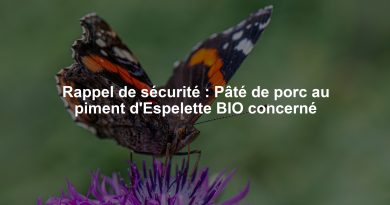 Rappel de sécurité : Pâté de porc au piment d'Espelette BIO concerné
