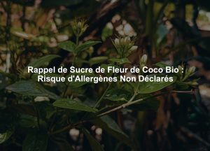 Rappel de Sucre de Fleur de Coco Bio : Risque d'Allergènes Non Déclarés