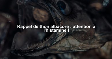 Rappel de thon albacore : attention à l'histamine !