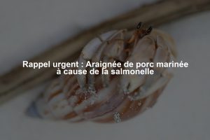 Rappel urgent : Araignée de porc marinée à cause de la salmonelle