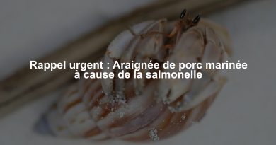 Rappel urgent : Araignée de porc marinée à cause de la salmonelle