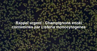 Rappel urgent : Champignons enoki contaminés par Listeria monocytogenes