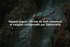 Rappel urgent : Civets de cerf, chevreuil et sanglier contaminés par Salmonella