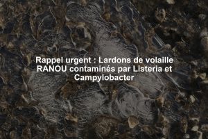 Rappel urgent : Lardons de volaille RANOU contaminés par Listeria et Campylobacter