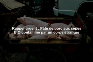 Rappel urgent : Pâté de porc aux cèpes BIO contaminé par un corps étranger