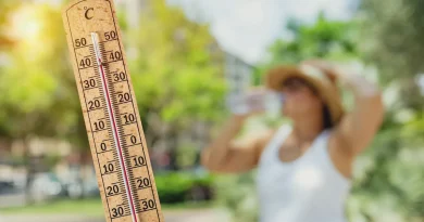 Une transition locale face aux +5 °C annoncés pour changer l'équation climatique mondiale