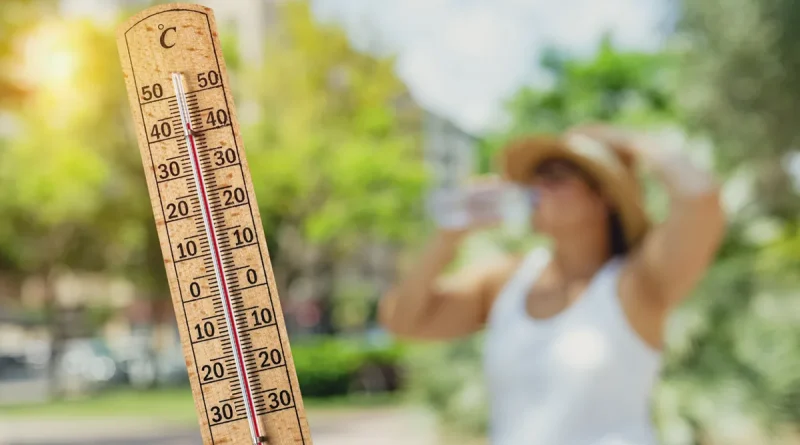 Une transition locale face aux +5 °C annoncés pour changer l'équation climatique mondiale