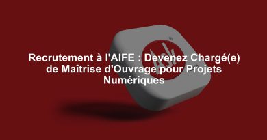 Recrutement à l'AIFE : Devenez Chargé(e) de Maîtrise d'Ouvrage pour Projets Numériques