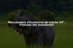Recrutement d'Auxiliaires de crèche H/F : Postulez dès maintenant