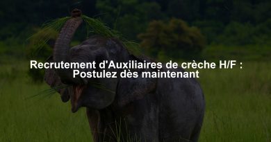 Recrutement d'Auxiliaires de crèche H/F : Postulez dès maintenant