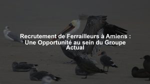 Recrutement de Ferrailleurs à Amiens : Une Opportunité au sein du Groupe Actual