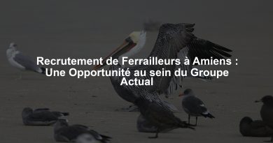 Recrutement de Ferrailleurs à Amiens : Une Opportunité au sein du Groupe Actual