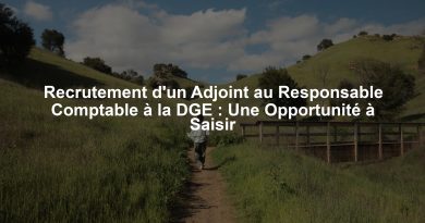 Recrutement d'un Adjoint au Responsable Comptable à la DGE : Une Opportunité à Saisir