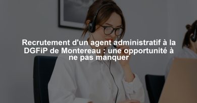 Recrutement d'un agent administratif à la DGFiP de Montereau : une opportunité à ne pas manquer