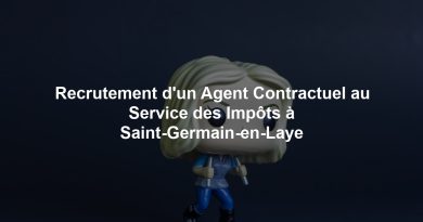 Recrutement d'un Agent Contractuel au Service des Impôts à Saint-Germain-en-Laye