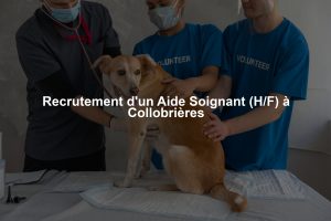 Recrutement d'un Aide Soignant (H/F) à Collobrières