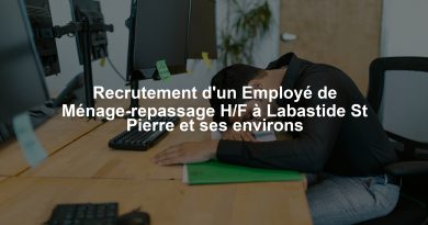 Recrutement d'un Employé de Ménage-repassage H/F à Labastide St Pierre et ses environs