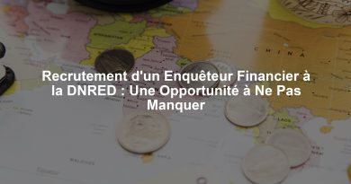 Recrutement d'un Enquêteur Financier à la DNRED : Une Opportunité à Ne Pas Manquer