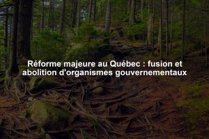 Réforme majeure au Québec : fusion et abolition d'organismes gouvernementaux