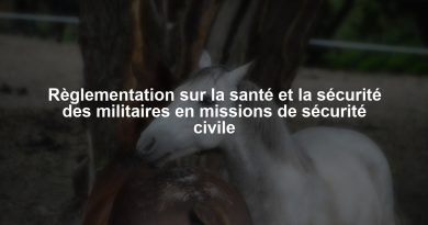 Règlementation sur la santé et la sécurité des militaires en missions de sécurité civile