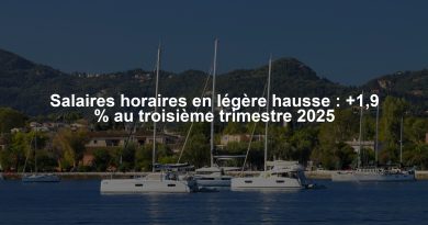 Salaires horaires en légère hausse : +1,9 % au troisième trimestre 2025