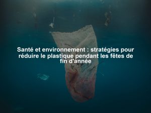 Santé et environnement : stratégies pour réduire le plastique pendant les fêtes de fin d'année