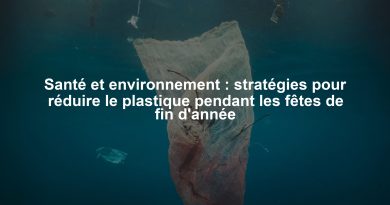 Santé et environnement : stratégies pour réduire le plastique pendant les fêtes de fin d'année